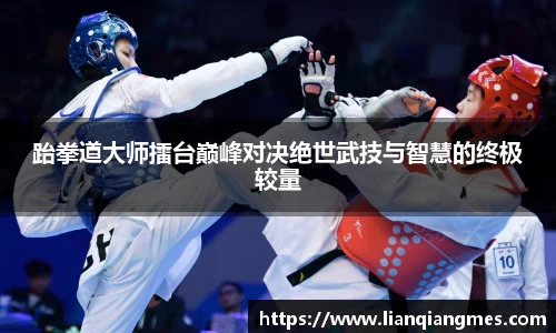 跆拳道大师擂台巅峰对决绝世武技与智慧的终极较量